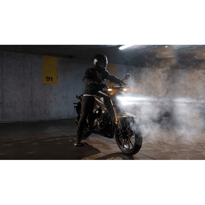 Honda CB300 Twister 6