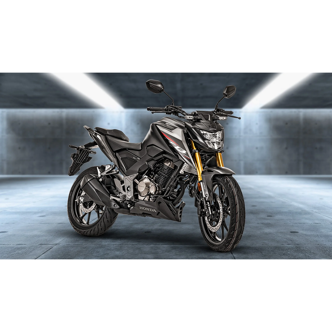 Honda CB300 Twister 8