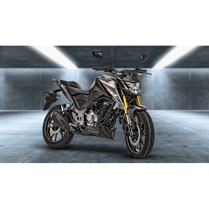 Honda CB300 Twister 8