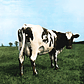 Vinilo Pink Floyd - Atom Heart Mother (nuevo Sellado Origina - Miniatura 2
