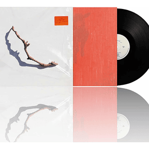 Pj Harvey - I Inside The Old Year Dying (vinilo)