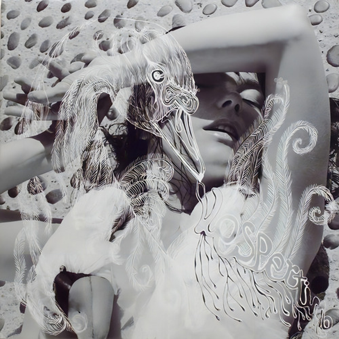 Bjork - Vespertine 1