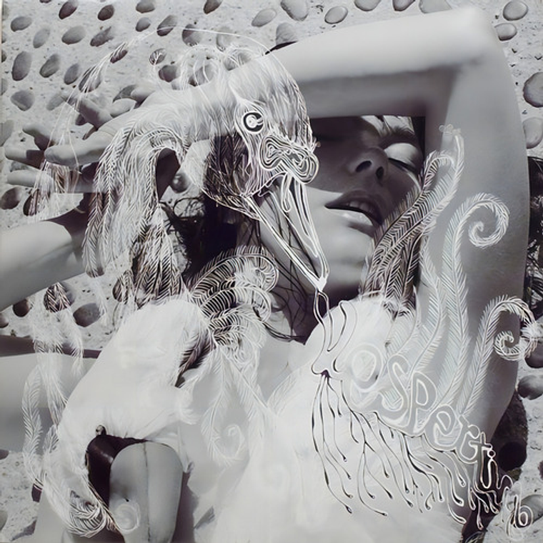 Bjork - Vespertine 1