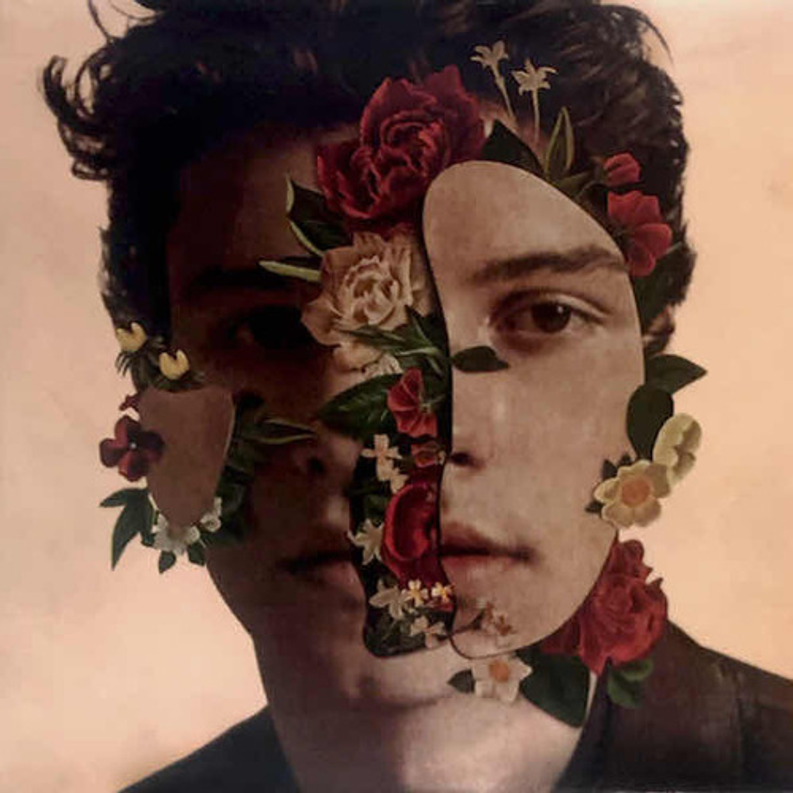 Shawn Mendes - Shawn Mendes (vinilo Ltd) 1