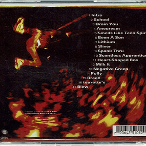 Nirvana - From The Muddy Banks Of The Wishkah (cd)