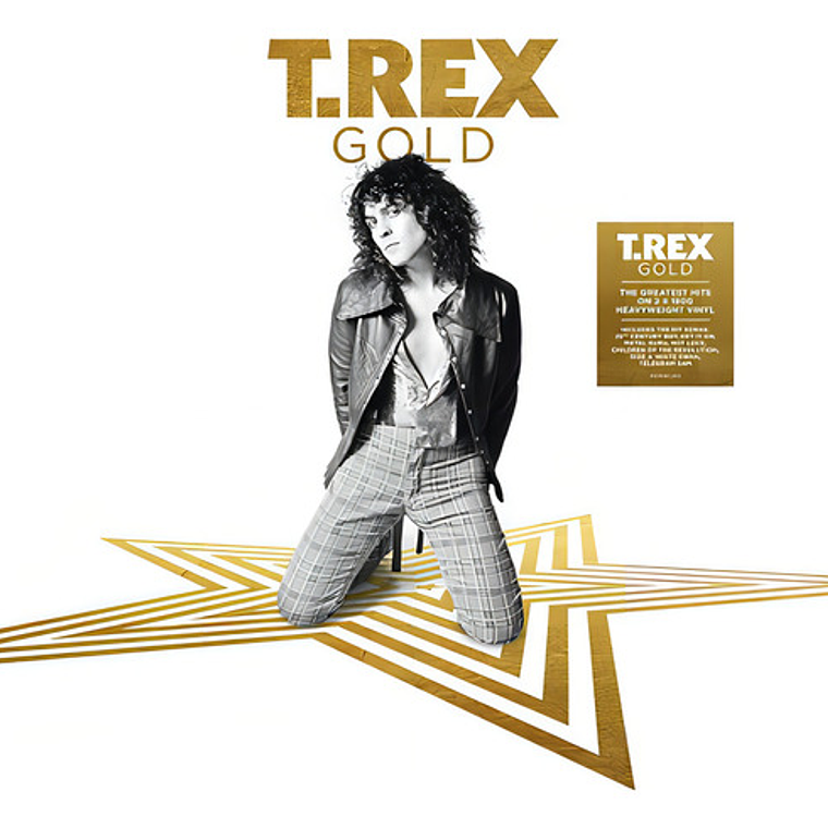 T Rex - Gold 2lp 1