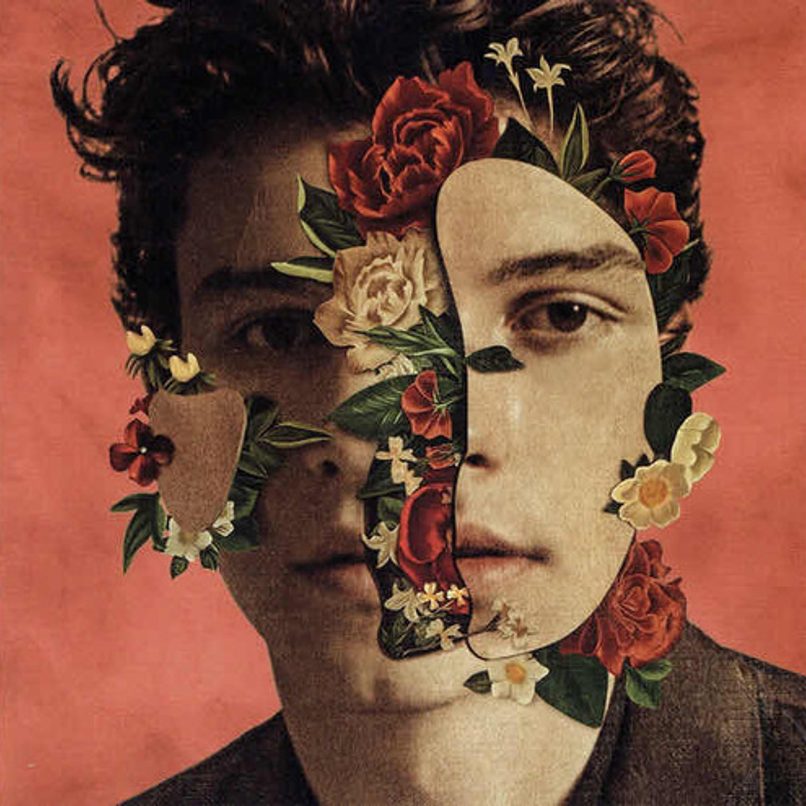 Shawn Mendes - Shawn Mendes (vinilo) 1