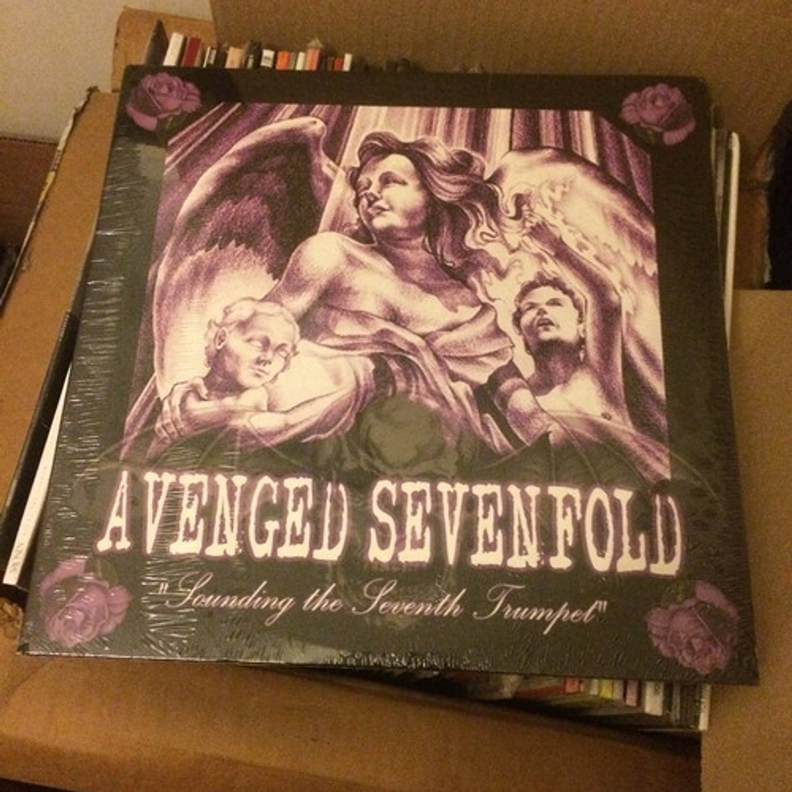 Vinilo Avenged Sevenfold - Sounding The Seventh Trumpet 1