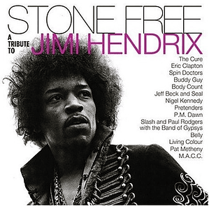 Jimi Hendrix Tribute - Stone Free 2lp
