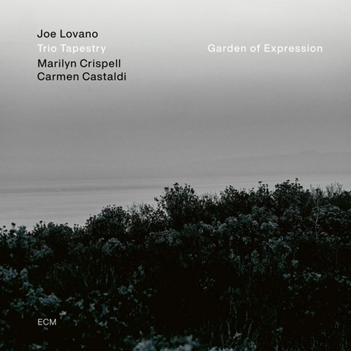 Joe Lovano Marilyn Crispell Carme (vinilo) 1