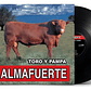 Almafuerte - Toro Y Pampa - Miniatura 1