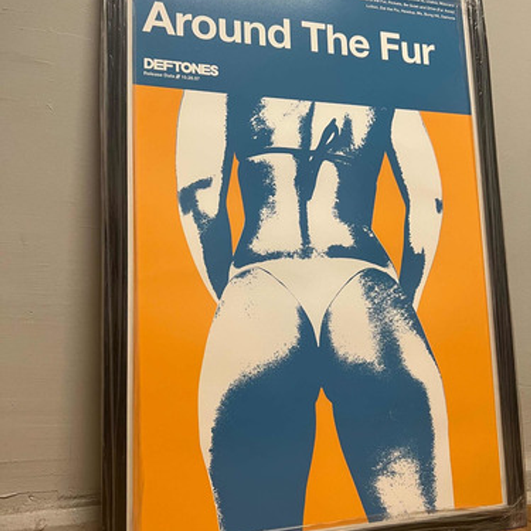 Cuadro Serigrafía Deftones - Around The Fur 2