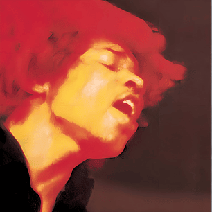 Jimi Hendrix - Elecrtric Ladyland Vin