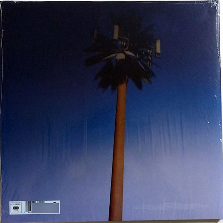 Vinilo Miley Cyrus - Endless Summer Vacation 2