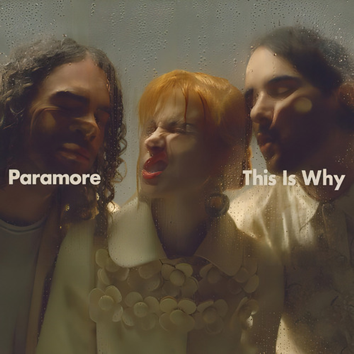 Vinilo Paramore - This Is Why 1