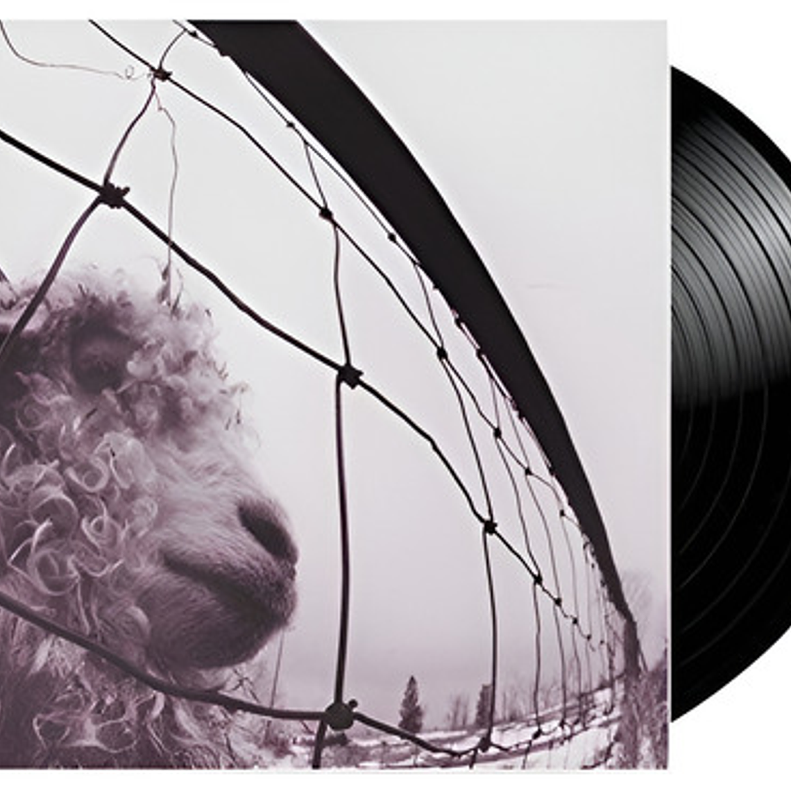 Pearl Jam - Vs (vinilo) 1