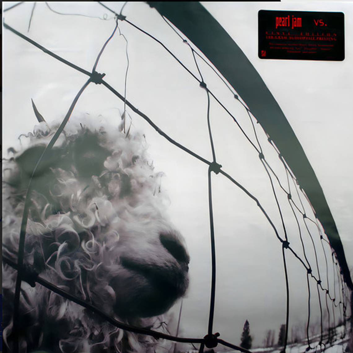 Pearl Jam - Vs (vinilo) 4