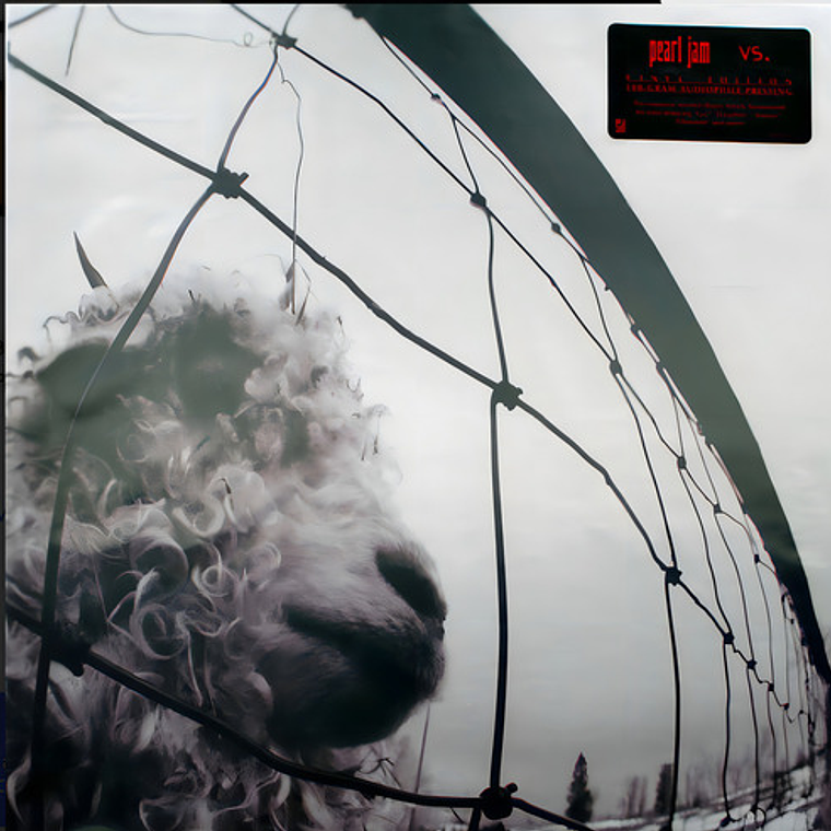 Pearl Jam - Vs (vinilo) 4