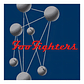 Foo Fighters - The Colour And The Sh (vinilo Doble) - Miniatura 3