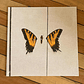 Paramore Brand New Eyes Vinilo Nuevo Y Sellado Musicovinyl - Miniatura 1