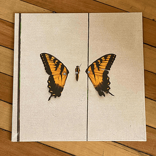 Paramore Brand New Eyes Vinilo Nuevo Y Sellado Musicovinyl