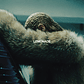 Beyonce - Lemonade - Miniatura 1