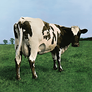 Pink Floyd - Atom Heart Mother