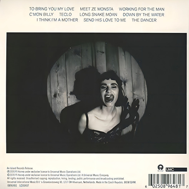 Pj Harvey - To Bring You My Love - Demo 2