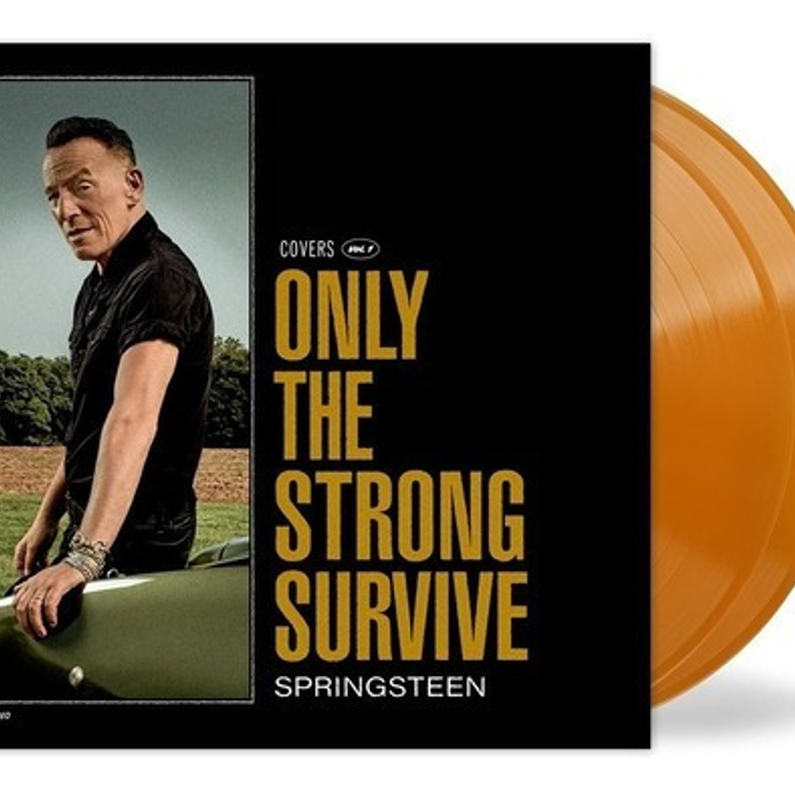 Bruce Springsteen - Only The Strong 2lp 1