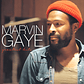 Marvin Gaye - Greatest Hits Lp - Miniatura 3