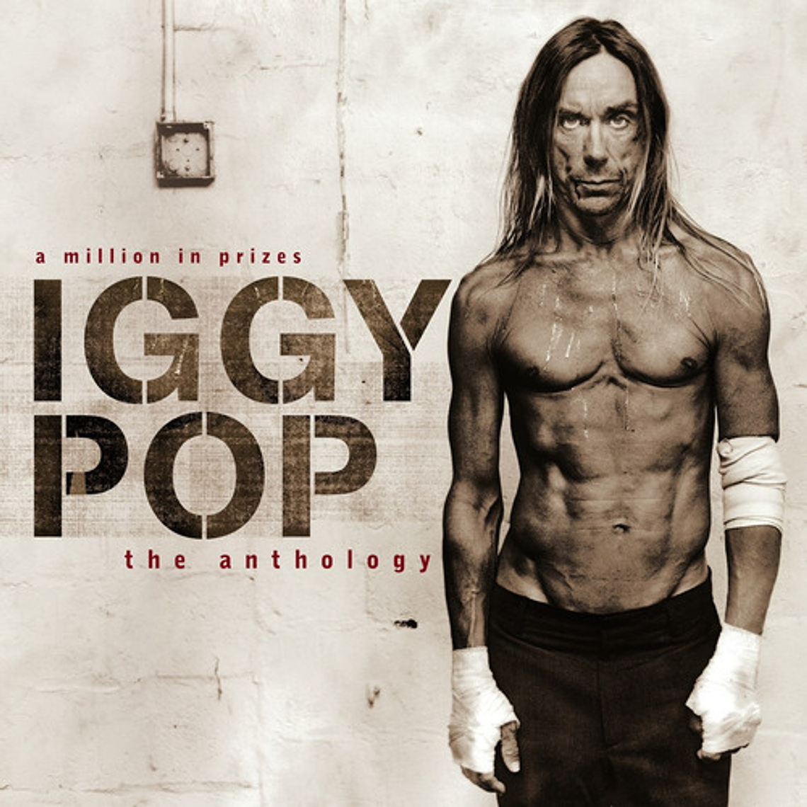 Vinilo Iggy Pop Un Millón En Premios 2005 Estándar 1