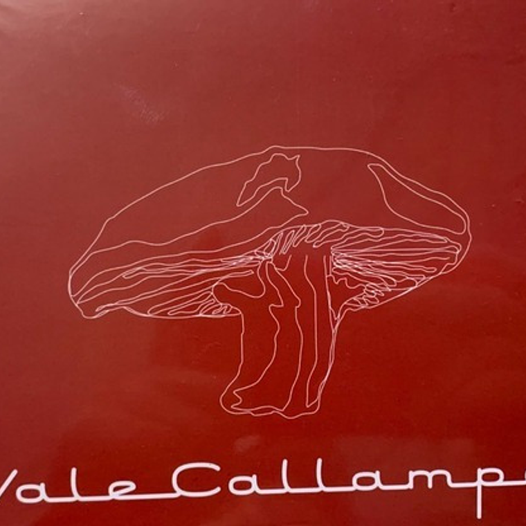 Cafe Tacuva - Vale Callampa Ep 1