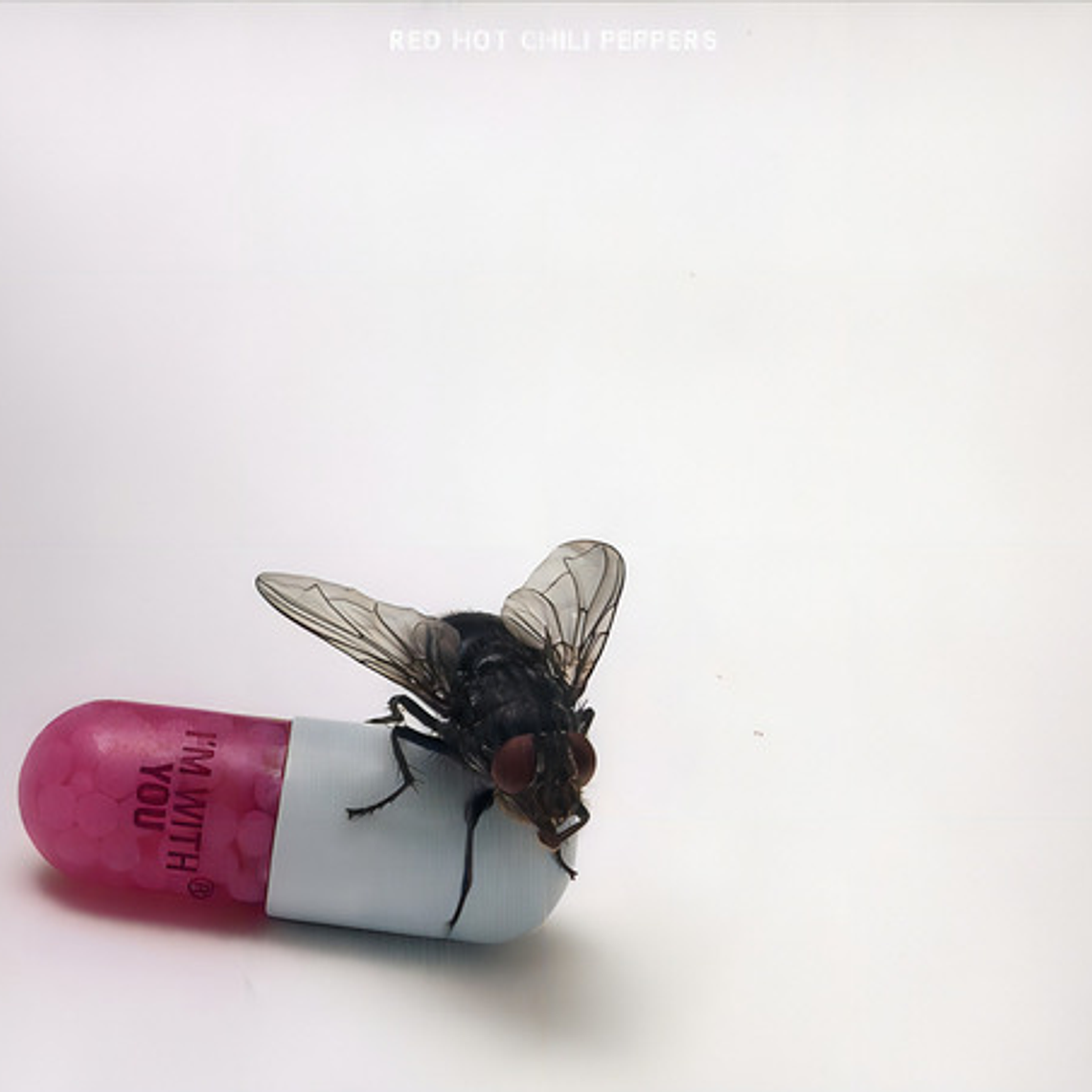 Red Hot Chili Peppers - I M With You 1