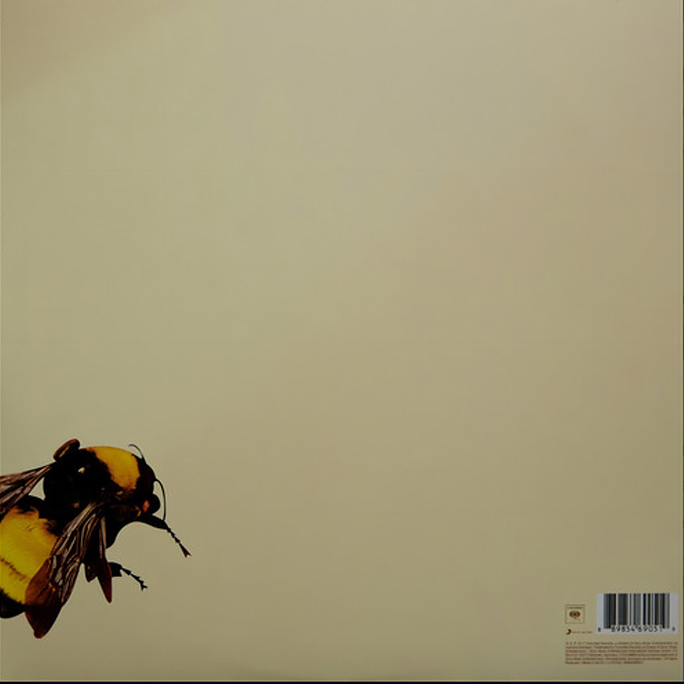 Tyler The Creator - Flower Boy Lp 3