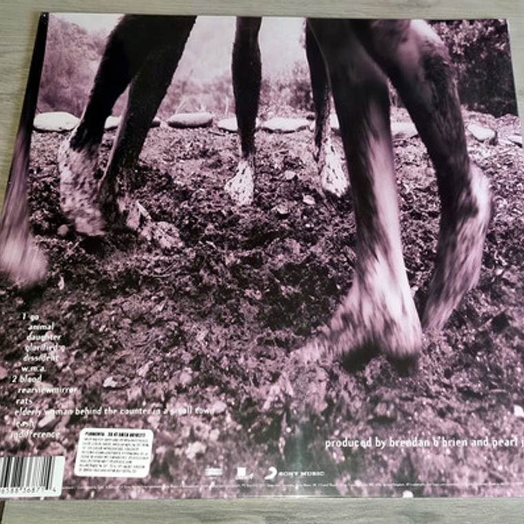Pearl Jam - Vs (30th. Anniversary Edition) Lp 4