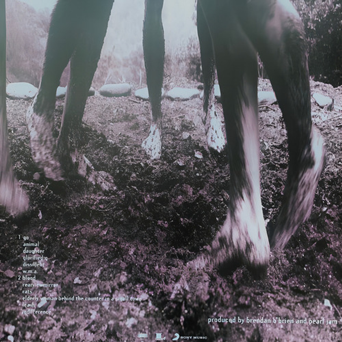 Pearl Jam - Vs (30th. Anniversary Edition) Lp 5