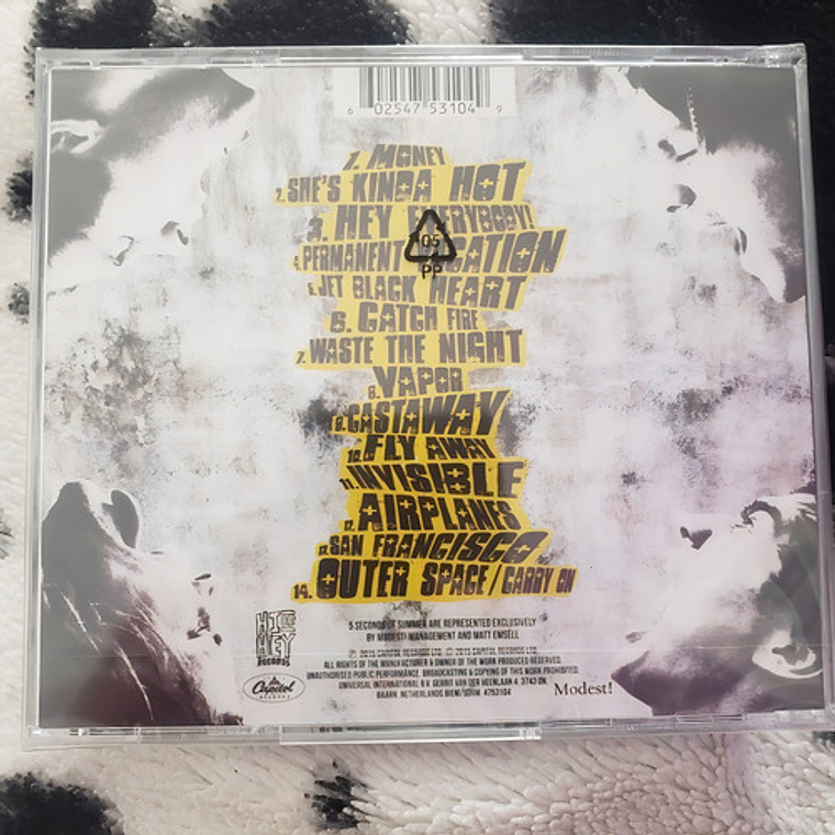 5 Seconds Of Summer - Sounds Good Feels 4