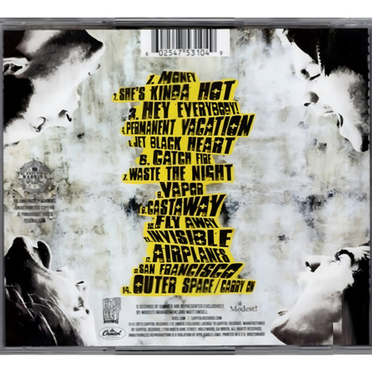 5 Seconds Of Summer - Sounds Good Feels 6