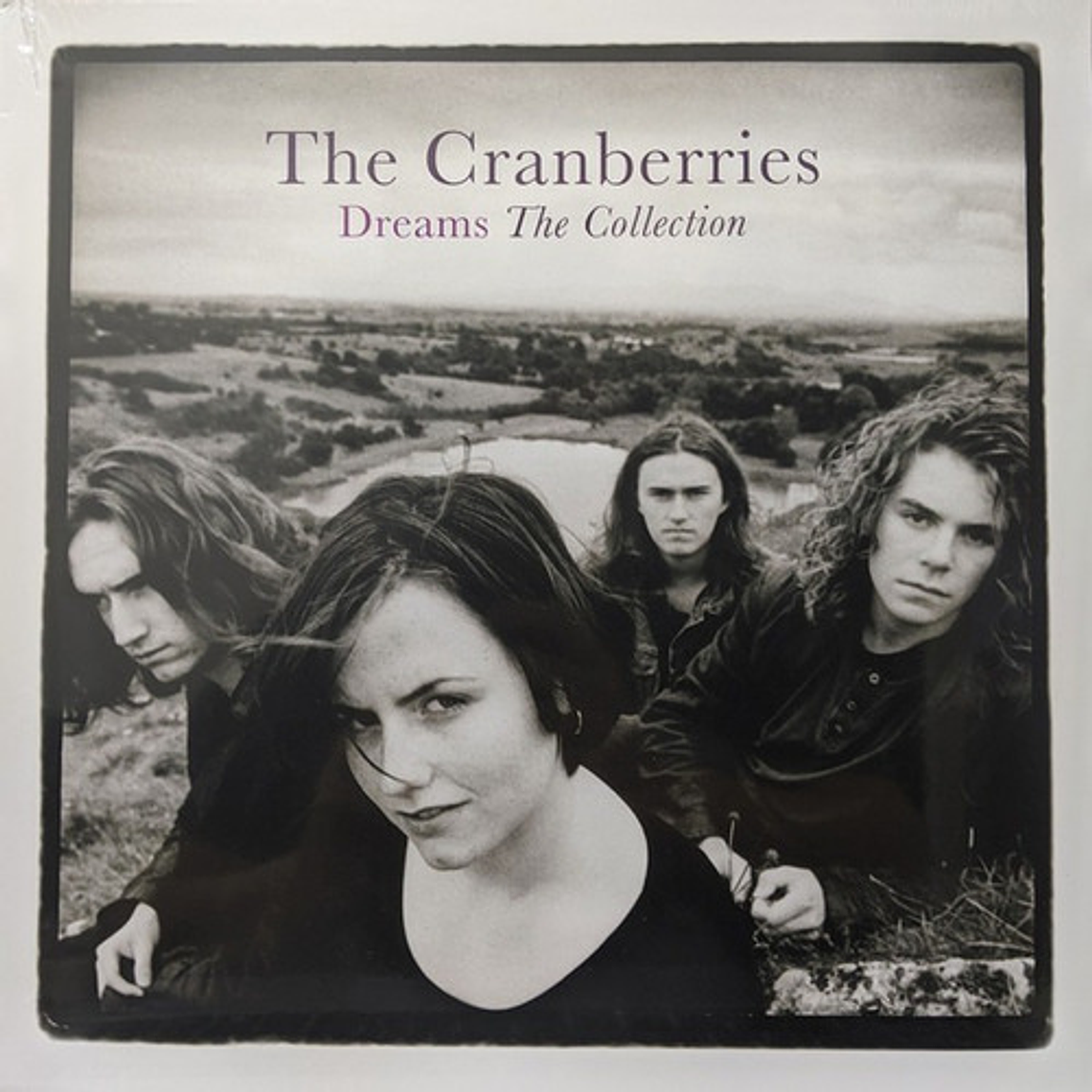 The Cranberries - Dreams - The Collection Lp 2