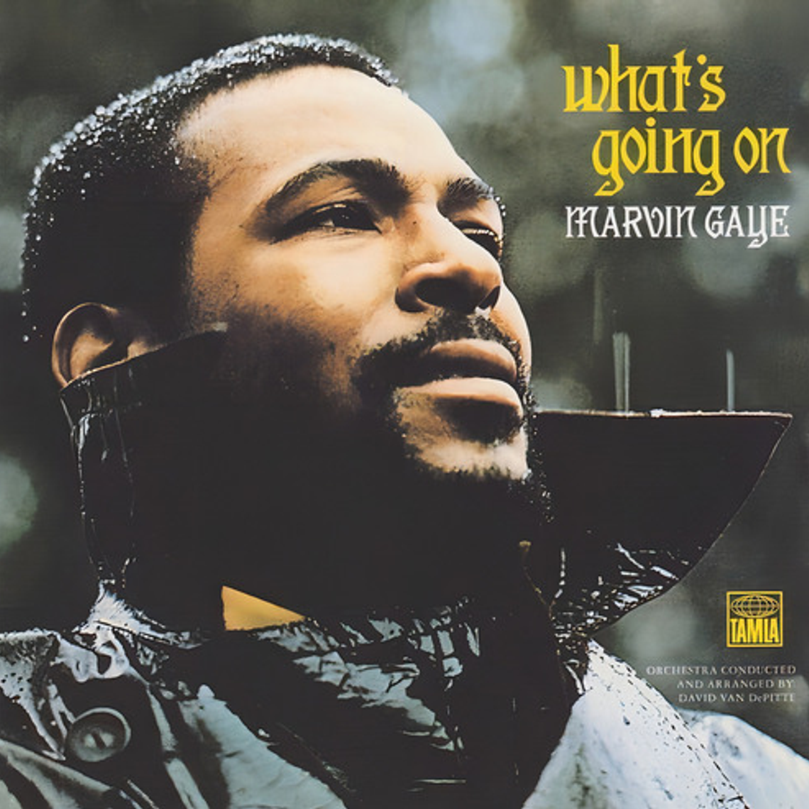 Marvin Gaye - What's Going On 1
