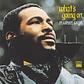 Marvin Gaye - What's Going On - Miniatura 1