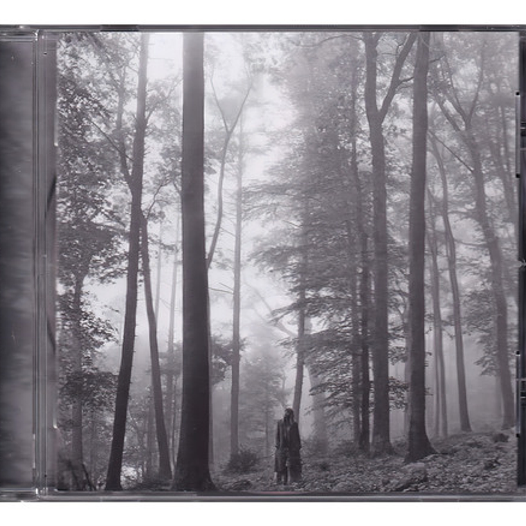 Taylor Swift - Folklore 2