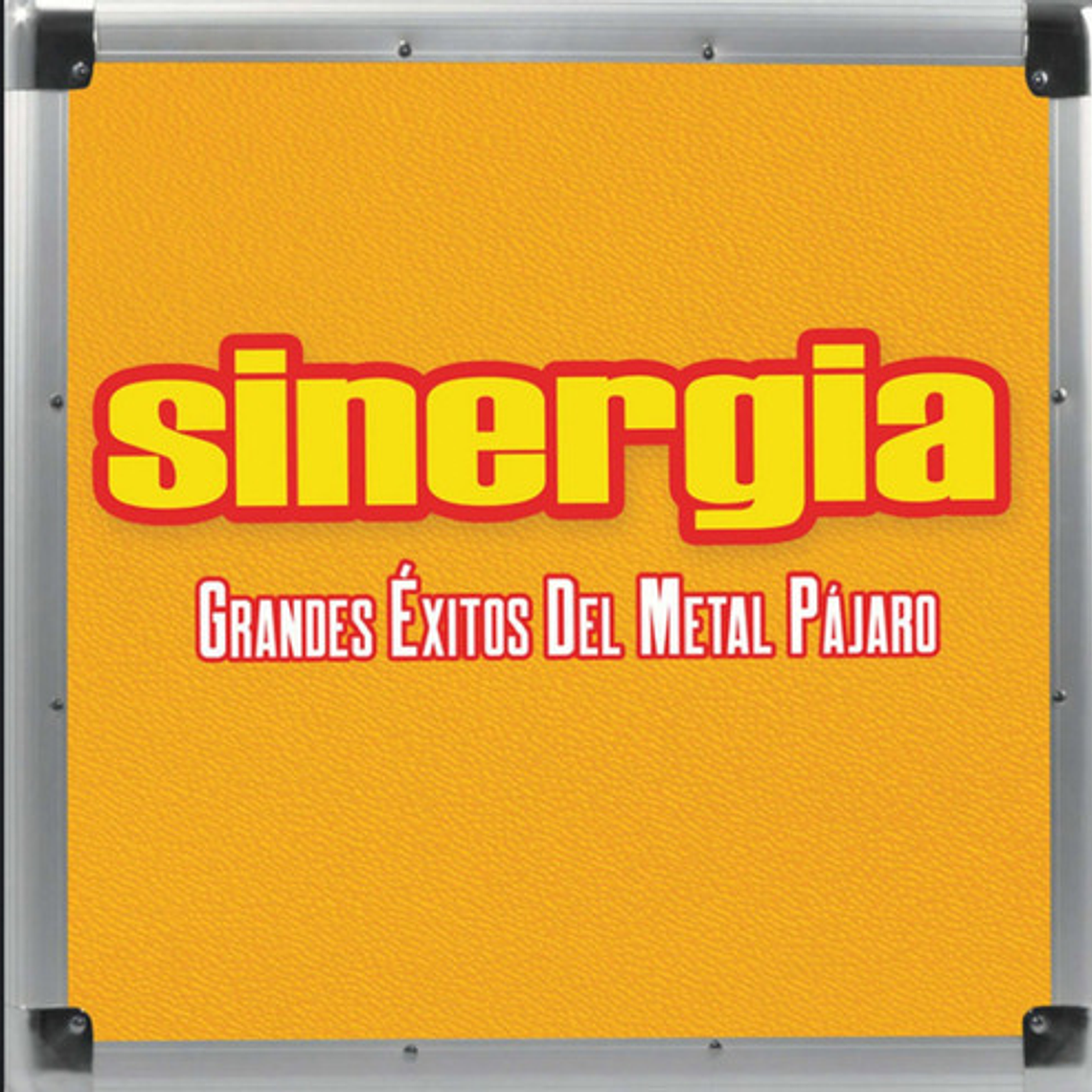 Grandes Éxitos Del Metal Pájaro Vinilo Versión Edición Limitada 2024 En Caja Vinilo Producido Por Plaza Independencia Incluye Pistas Adicionales Sinergia 1