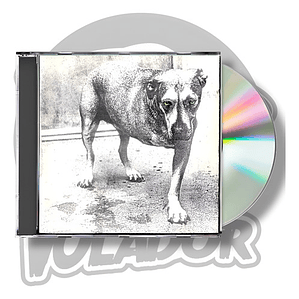 Alice In Chains - Alice In Chains (cd)