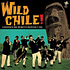 Wild Chile! A Collection Of Rare & Wild 60's Chilean Rock Nr