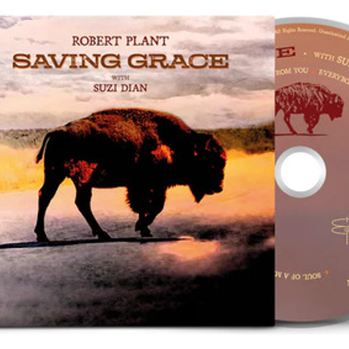 Robert Plant - Saving Grace (with Suzi Dian) 1