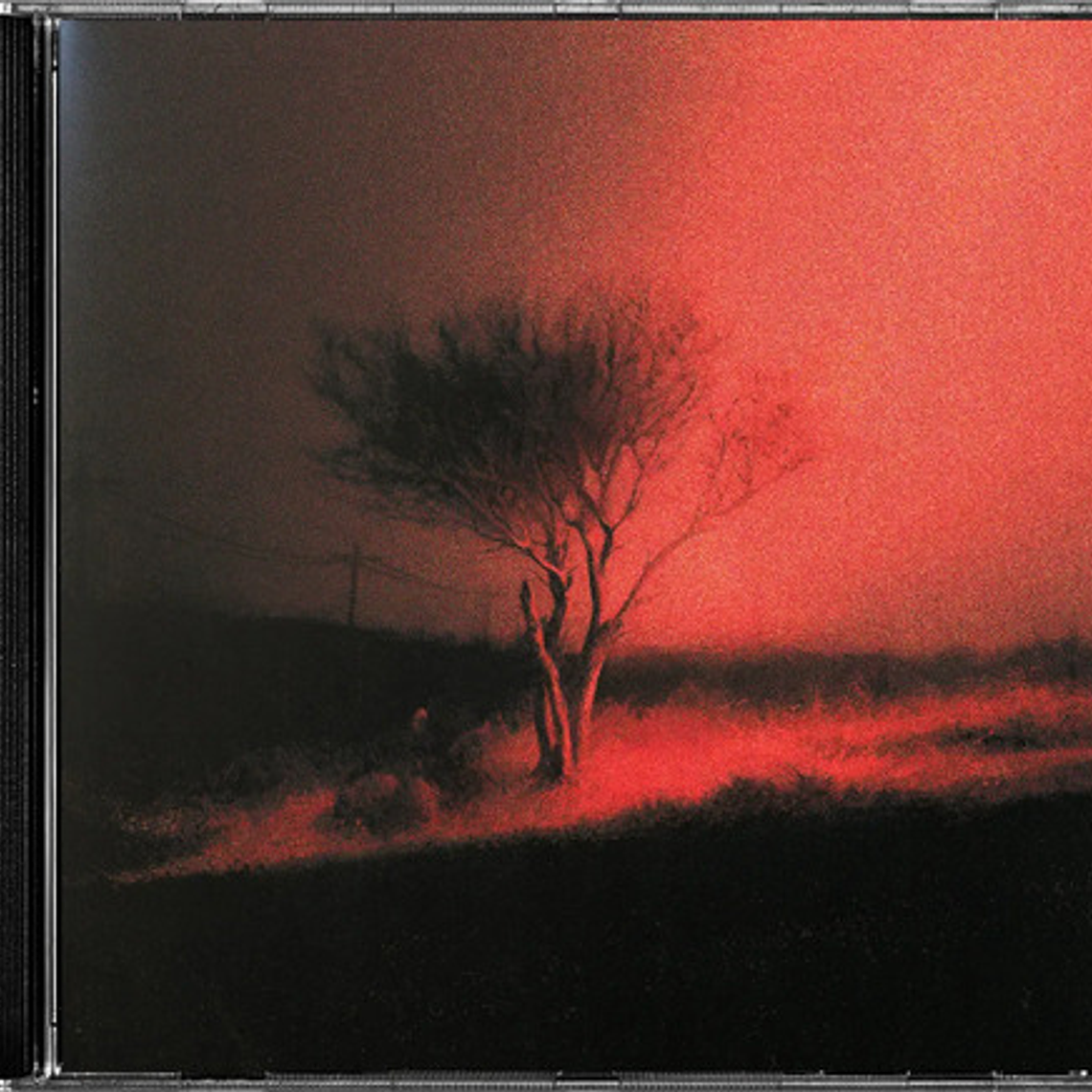 Joji - Piss In The Wind Estándar 1