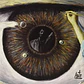 Luis Eduardo Aute - De La Luz Y La Sombra (vinilo) - Miniatura 1