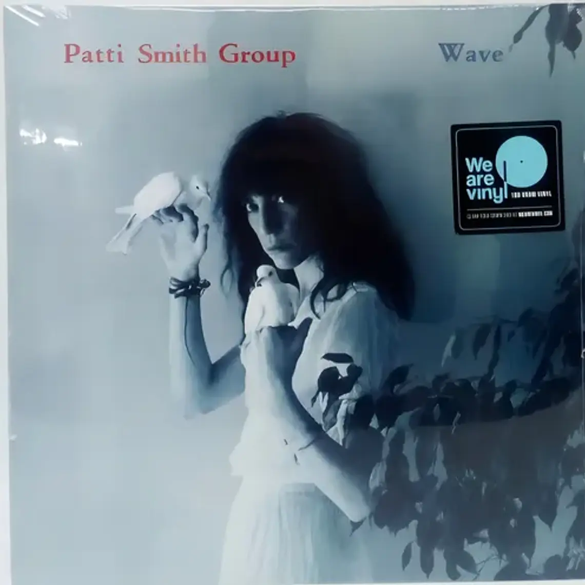 Vinilo Patti Smith Group Wave Rock 9 Canciones 2019 Argentina 2