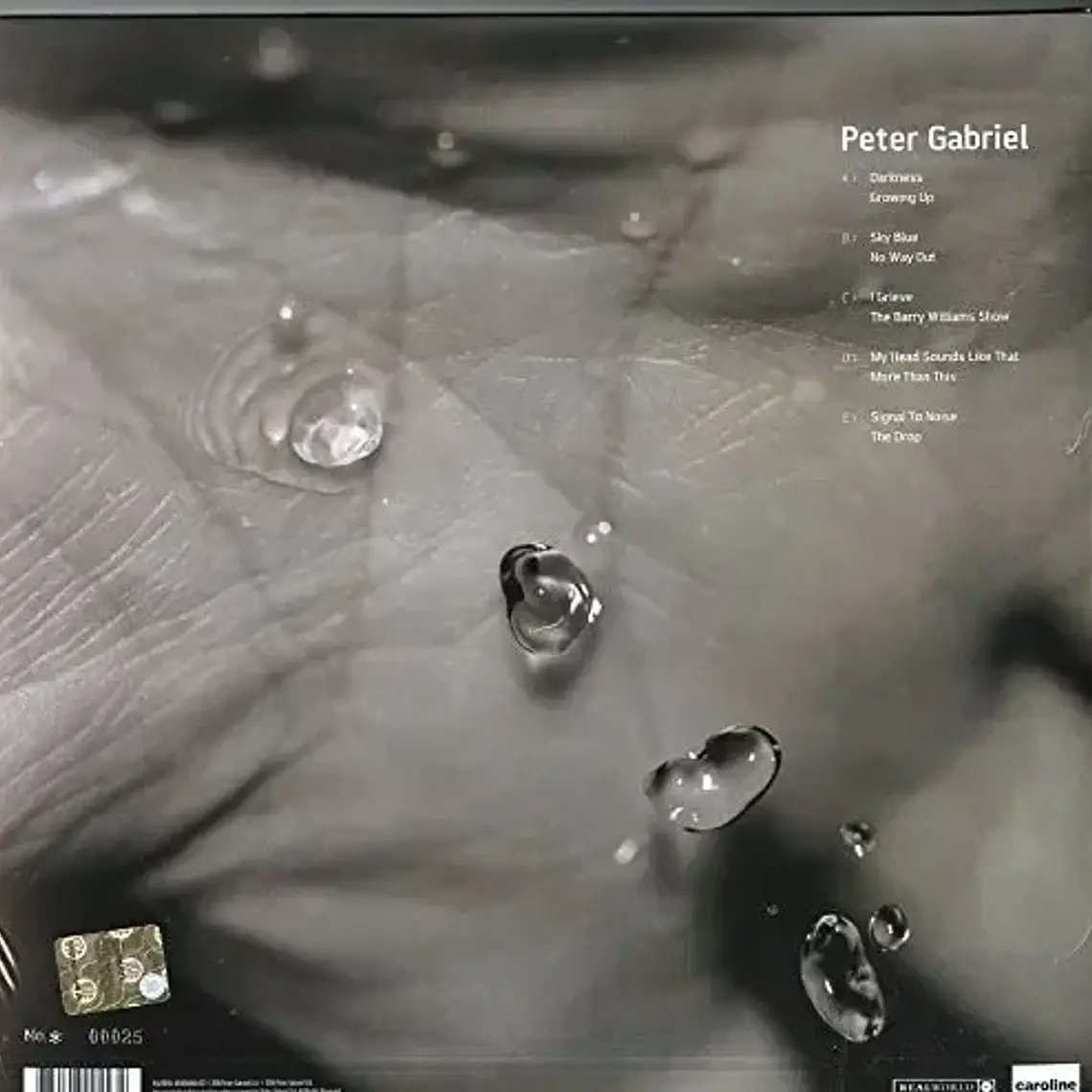 Vinilo Rock Peter Gabriel Up 10 Canciones 2017 Europa 2